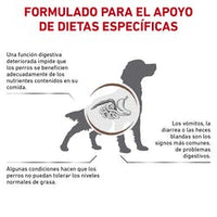 Royal Canin Alimento Perros Gastro Intestinal Low Fat Baja Grasa Diarrea Infeccion Intestinal