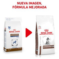 Royal Canin Alimento Perros Gastro-intestinal Puppy  Cachorros Diarrea Infeccion Intestinal Mala Digestion 4 kg