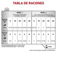 Royal Canin Alimento Perros Gatos Recovery Lata 150 gr Cuidados Intensivos Convalecencia