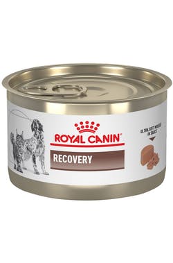 Royal Canin Alimento Perros Gatos Recovery Lata 150 gr Cuidados Intensivos Convalecencia
