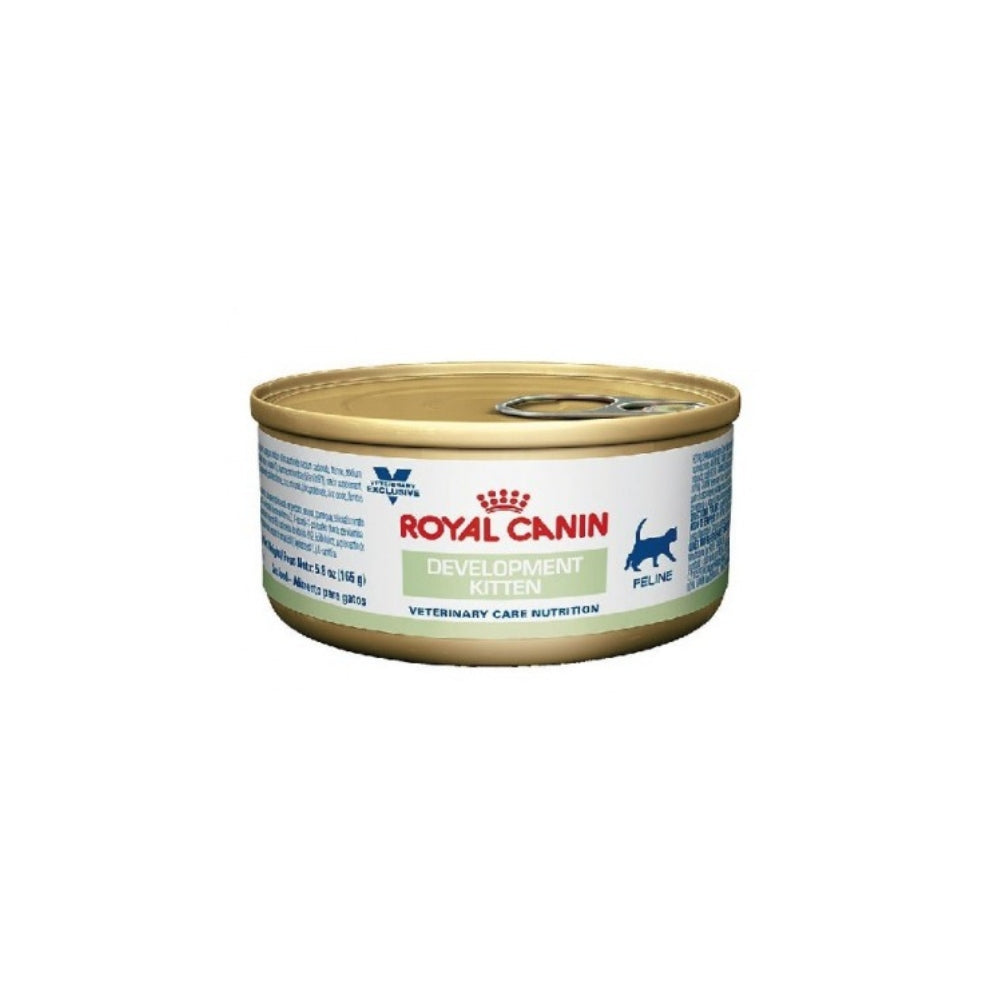 Royal Canin Alimento Gatos Development Kitten Feline Lata 145gr Cachorros