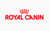 Royal Canin Alimento Gatos Development Kitten Feline Gatito Cachorro Pienso Croqueta