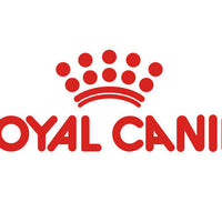 Royal Canin Alimento Gatos Gastrointestinal High Energy Feline 4 kg Diarrea Infeccion Intestinal
