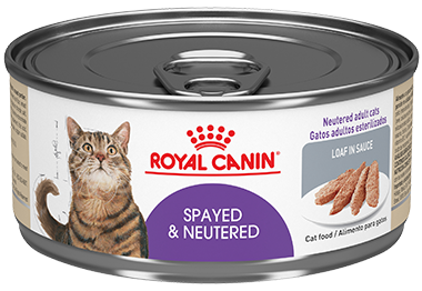 Royal Canin Alimento Gatos Adulto Spayed Neutered Esterilizados Lata Humedo .165kg iPos