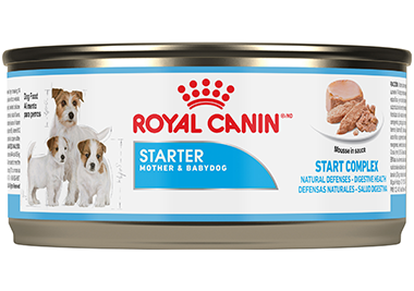 Royal Canin Alimento Perros Starter Mousse Gestantes Recien Nacidos Lata 150 gr iPos