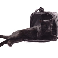 Mochila Transportadora de Viaje Perros Pequeños Gatos Mascotas Cat Dog Pet Carrier Bolsa Transportador Transporter Caja Avion