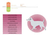 Virbac Alimento Perros Senior Large Medium 12 kg Adulto Mayor Raza Grande Mediana Croqueta