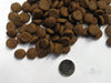 Taste Of The Wild Alimento Perros Adulto Wetlands Canine Pienso Croqueta